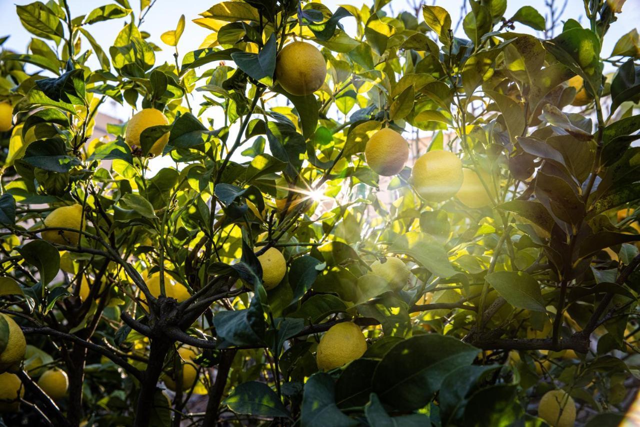 The Lemon Tree Vilaflor Exterior foto